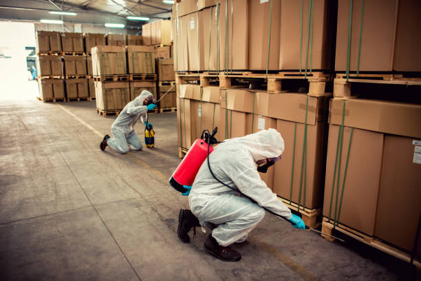 Best Pest Control for Businesses  in Layton, UT