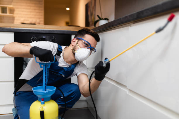 Professional Pest Control in Layton, UT