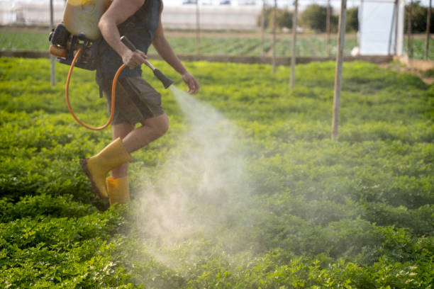 Best Exterminator Services  in Layton, UT