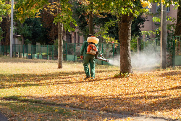 Best Residential Pest Control  in Layton, UT