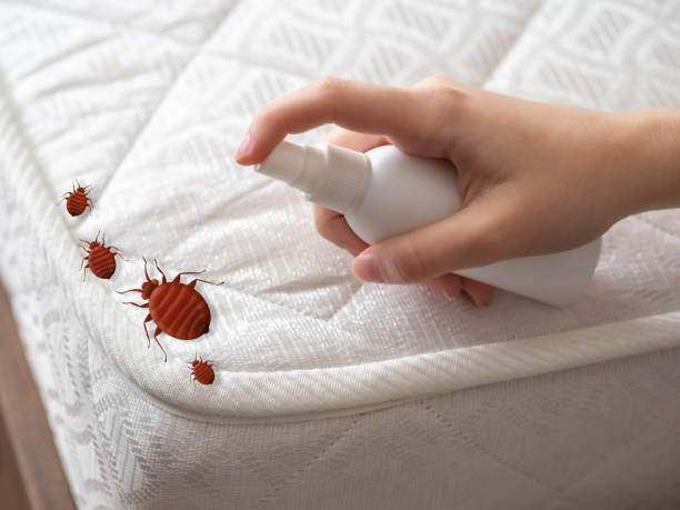 Best Best Pest Control Companies  in Layton, UT